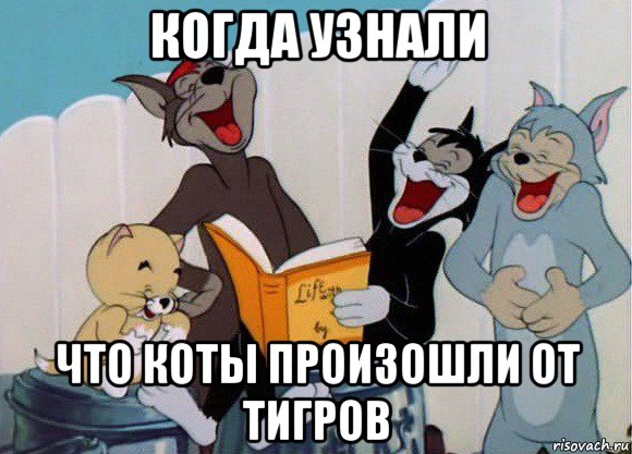 когда узнали что коты произошли от тигров, Мем Том и Джерри