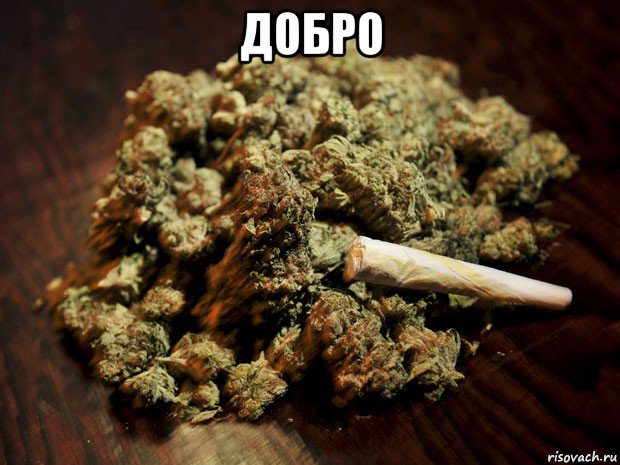 добро , Мем травка