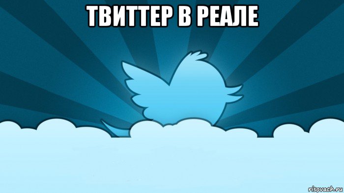 твиттер в реале 