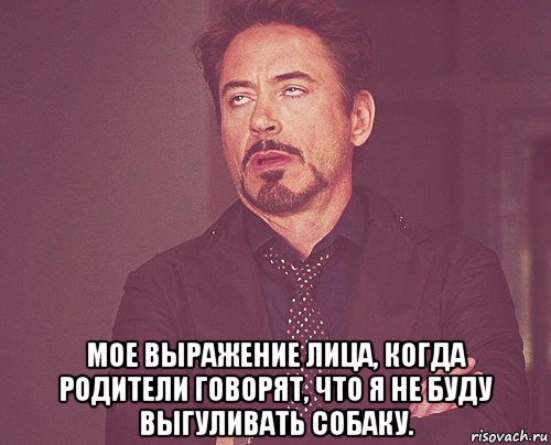  мое выражение лица, когда родители говорят, что я не буду выгуливать собаку., Мем твое выражение лица