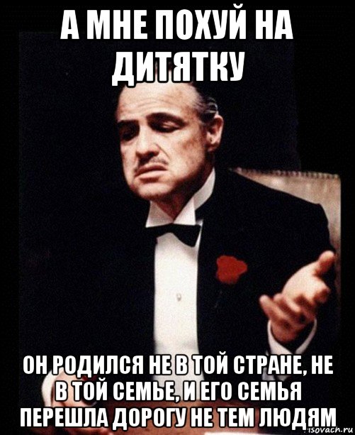 а мне похуй на дитятку он родился не в той стране, не в той семье, и его семья перешла дорогу не тем людям, Мем ты делаешь это без уважения