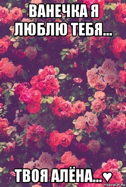 ванечка я люблю тебя... твоя алёна...♥