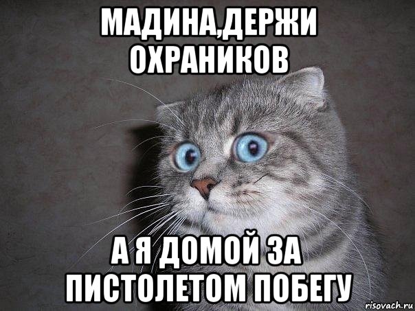 мадина,держи охраников а я домой за пистолетом побегу, Мем  удивлённый кот