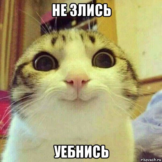 не злись уебнись