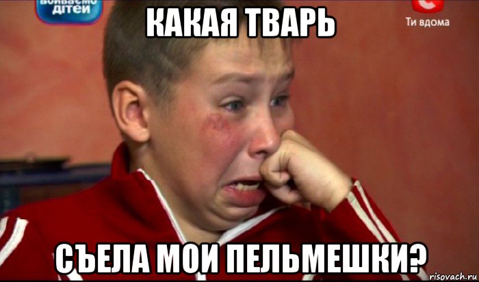 какая тварь съела мои пельмешки?, Мем  Сашок Фокин