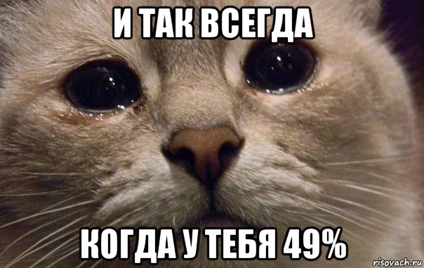 и так всегда когда у тебя 49%, Мем   В мире грустит один котик