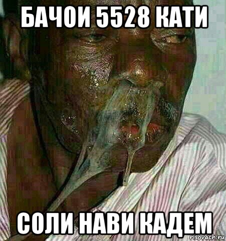 бачои 5528 кати соли нави кадем