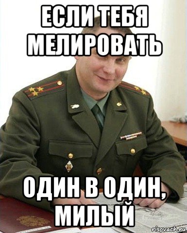 если тебя мелировать один в один, милый, Мем Военком (полковник)