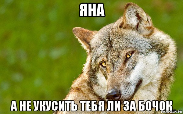 яна а не укусить тебя ли за бочок, Мем   Volf