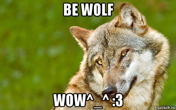be wolf wow^_^ :3, Мем   Volf