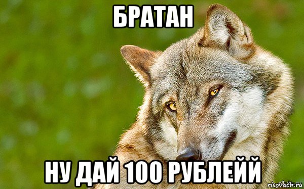 братан ну дай 100 рублейй, Мем   Volf