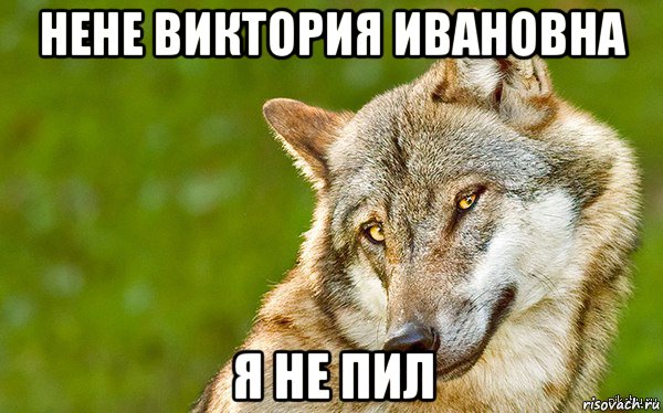 нене виктория ивановна я не пил, Мем   Volf