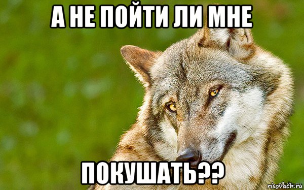 а не пойти ли мне покушать??, Мем   Volf