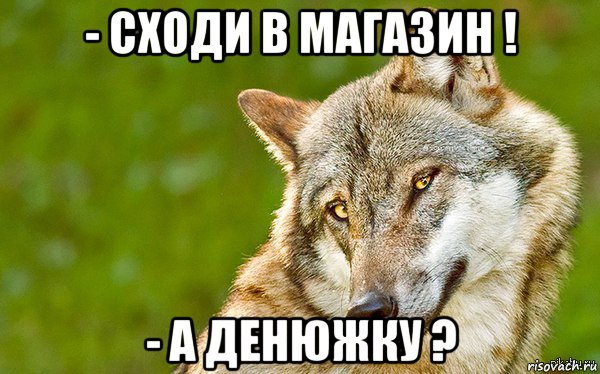 - сходи в магазин ! - а денюжку ?, Мем   Volf