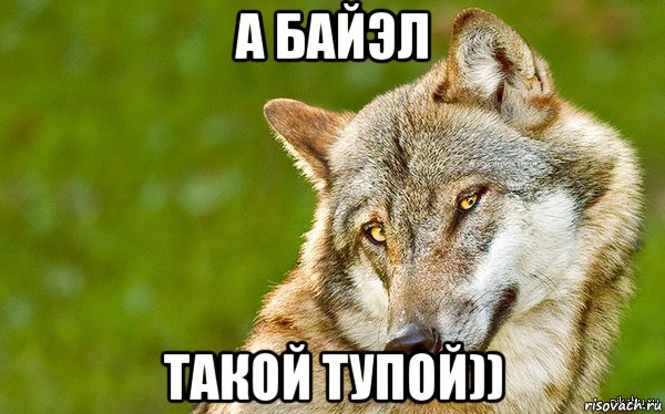 а байэл такой тупой)), Мем   Volf