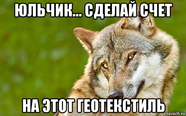 юльчик... сделай счет на этот геотекстиль, Мем   Volf