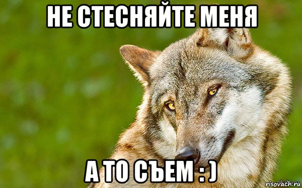 не стесняйте меня а то съем : ), Мем   Volf