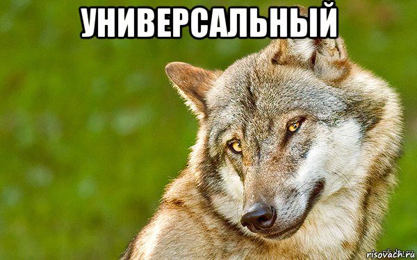 универсальный , Мем   Volf