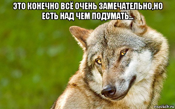 это конечно всё очень замечательно,но есть над чем подумать... , Мем   Volf