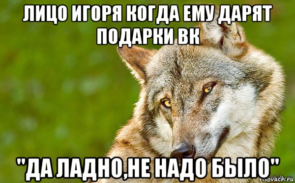 лицо игоря когда ему дарят подарки вк "да ладно,не надо было", Мем   Volf