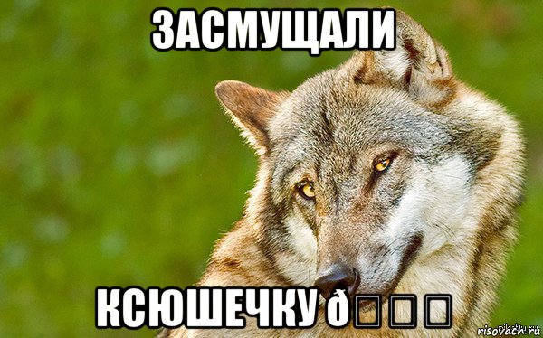 Мем   Volf