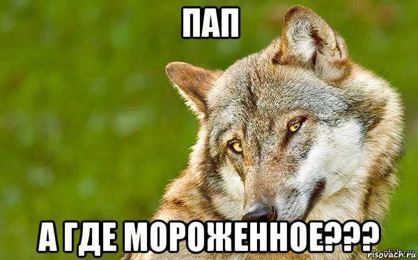 пап а где мороженное???, Мем   Volf