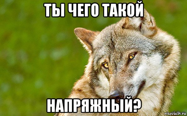 ты чего такой напряжный?, Мем   Volf