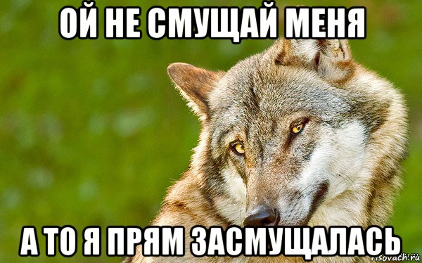 ой не смущай меня а то я прям засмущалась, Мем   Volf