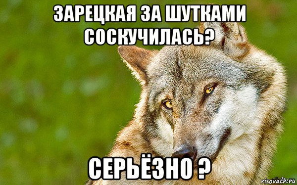 зарецкая за шутками соскучилась? серьёзно ?, Мем   Volf