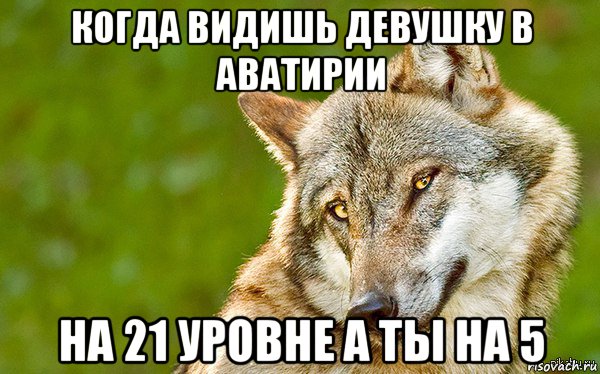 когда видишь девушку в аватирии на 21 уровне а ты на 5, Мем   Volf