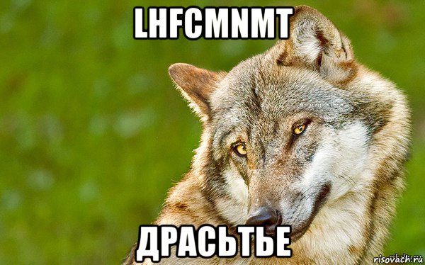 lhfcmnmt драсьтье, Мем   Volf