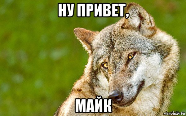 ну привет, майк, Мем   Volf