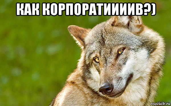 как корпоратиииив?) , Мем   Volf