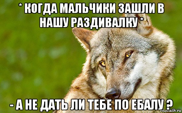 * когда мальчики зашли в нашу раздивалку * - а не дать ли тебе по ебалу ?, Мем   Volf