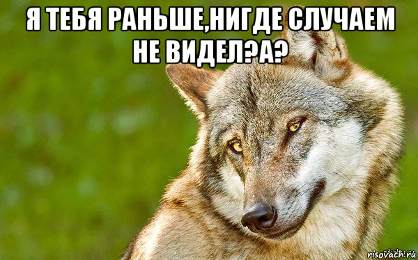 я тебя раньше,нигде случаем не видел?а? , Мем   Volf