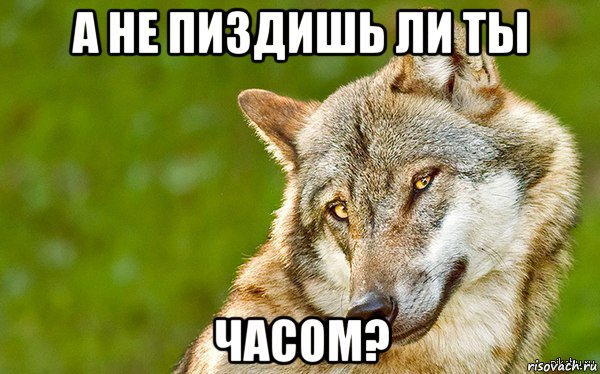 а не пиздишь ли ты часом?, Мем   Volf