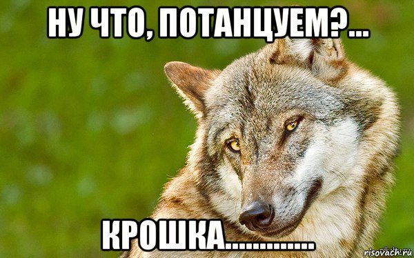 ну что, потанцуем?... крошка............., Мем   Volf