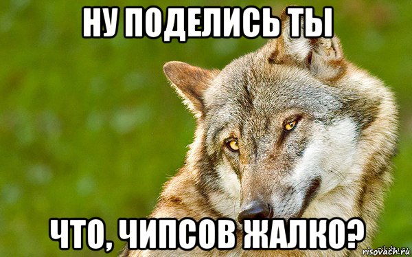 ну поделись ты что, чипсов жалко?, Мем   Volf