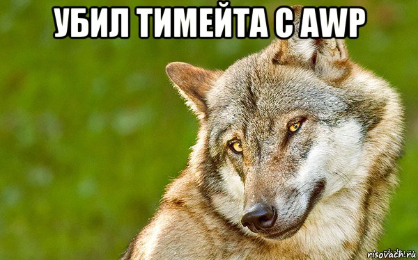 убил тимейта с awp , Мем   Volf