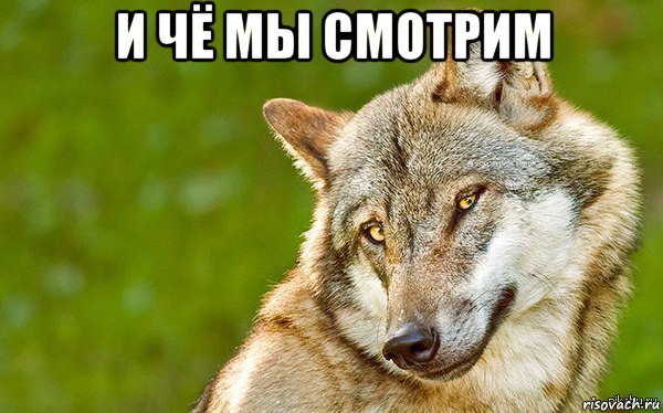 и чё мы смотрим , Мем   Volf