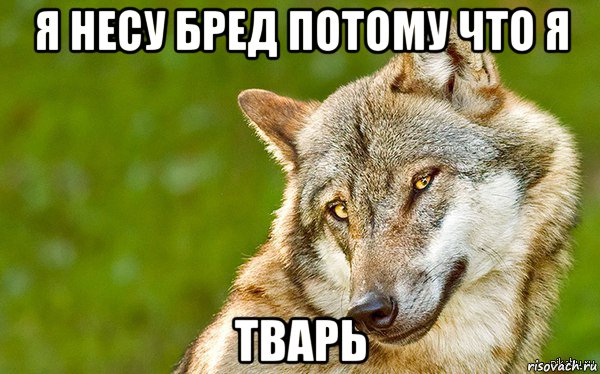 я несу бред потому что я тварь, Мем   Volf