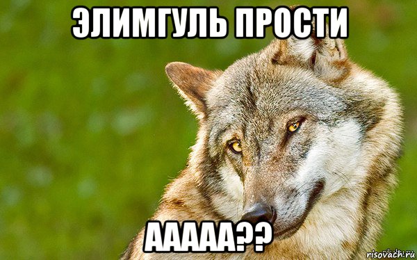 элимгуль прости ааааа??, Мем   Volf