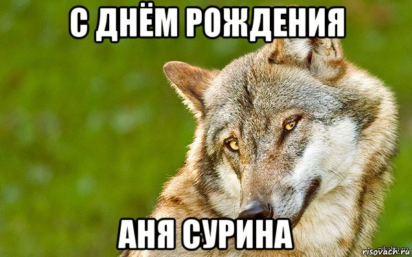 с днём рождения аня сурина, Мем   Volf