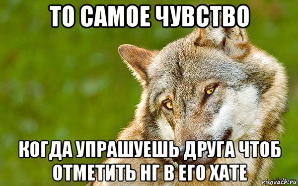 то самое чувство когда упрашуешь друга чтоб отметить нг в его хате, Мем   Volf