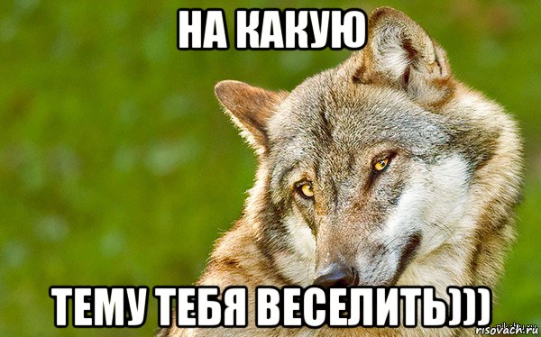 на какую тему тебя веселить))), Мем   Volf