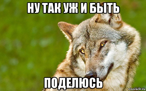 ну так уж и быть поделюсь, Мем   Volf