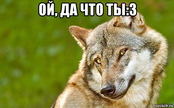 ой, да что ты:3 , Мем   Volf