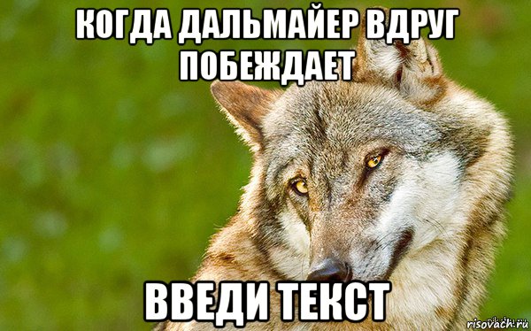 когда дальмайер вдруг побеждает введи текст, Мем   Volf