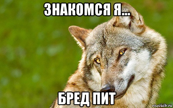 знакомся я... бред пит, Мем   Volf