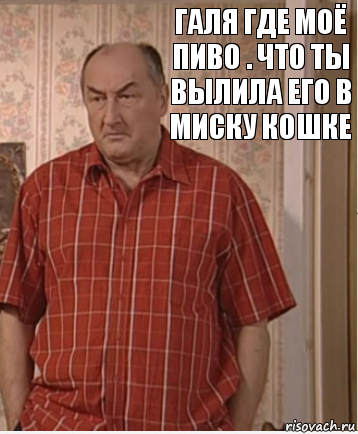 Галя где моё пиво . что ты вылила его в миску кошке, Комикс Николай Петрович Воронин